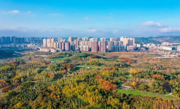 刻苦训练篮球时如何避免受伤的建议_1